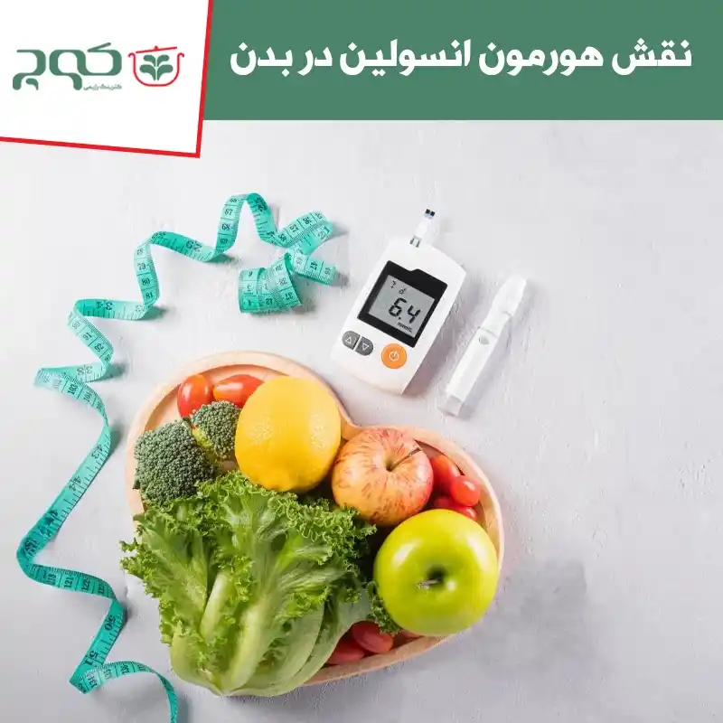 نقش هورمون انسولین