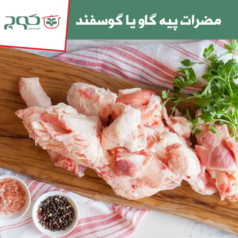 مضرات پیه گاو