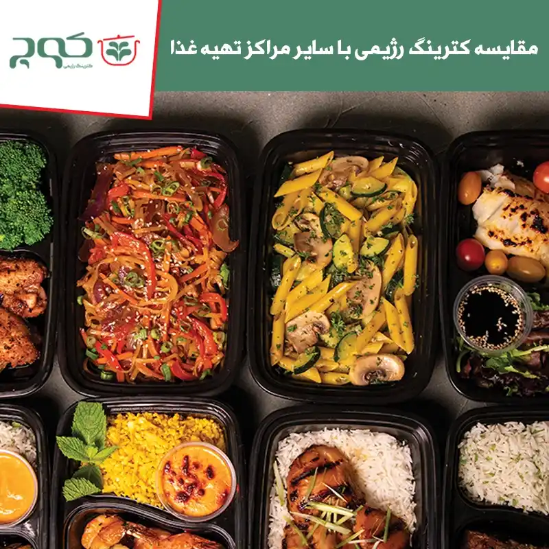 مقایسه کترینگ رژیمی