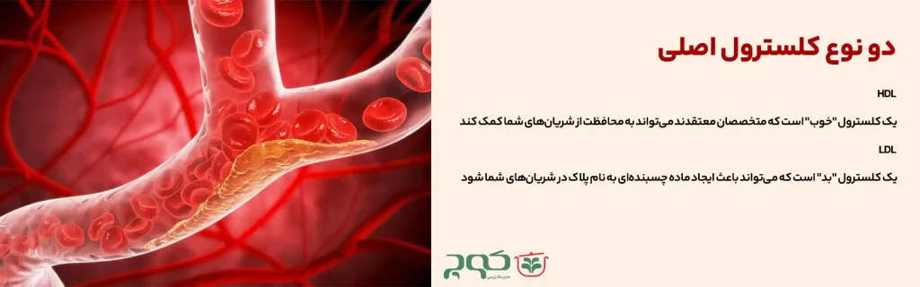کنترل کلسترول