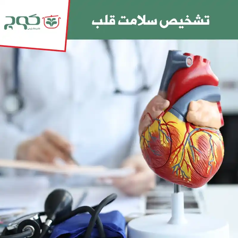 تشخیص سلامت قلب