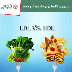 کلسترول مفید و غیرمفید